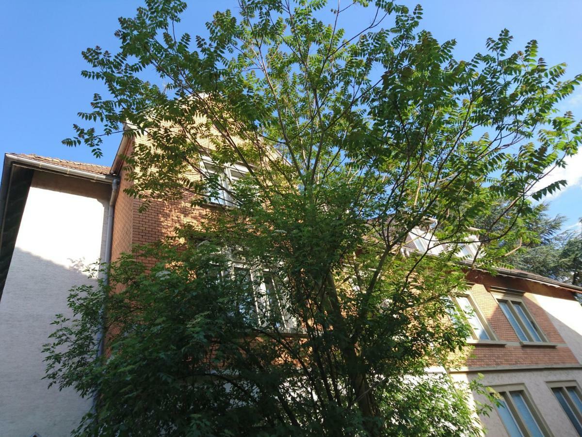 Nest City - Not A Hotel, Private Room With Shared Showers, No Parking, Breakfast, Or Kitchen, Towels Available For A Fee, Check-In 4 Pm To 11 Pm Lago de Constança Exterior foto